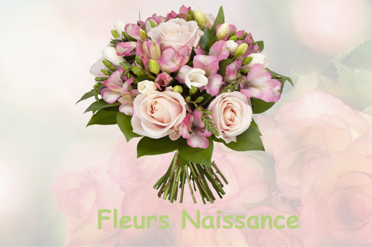 fleurs naissance CLONAS-SUR-VAREZE