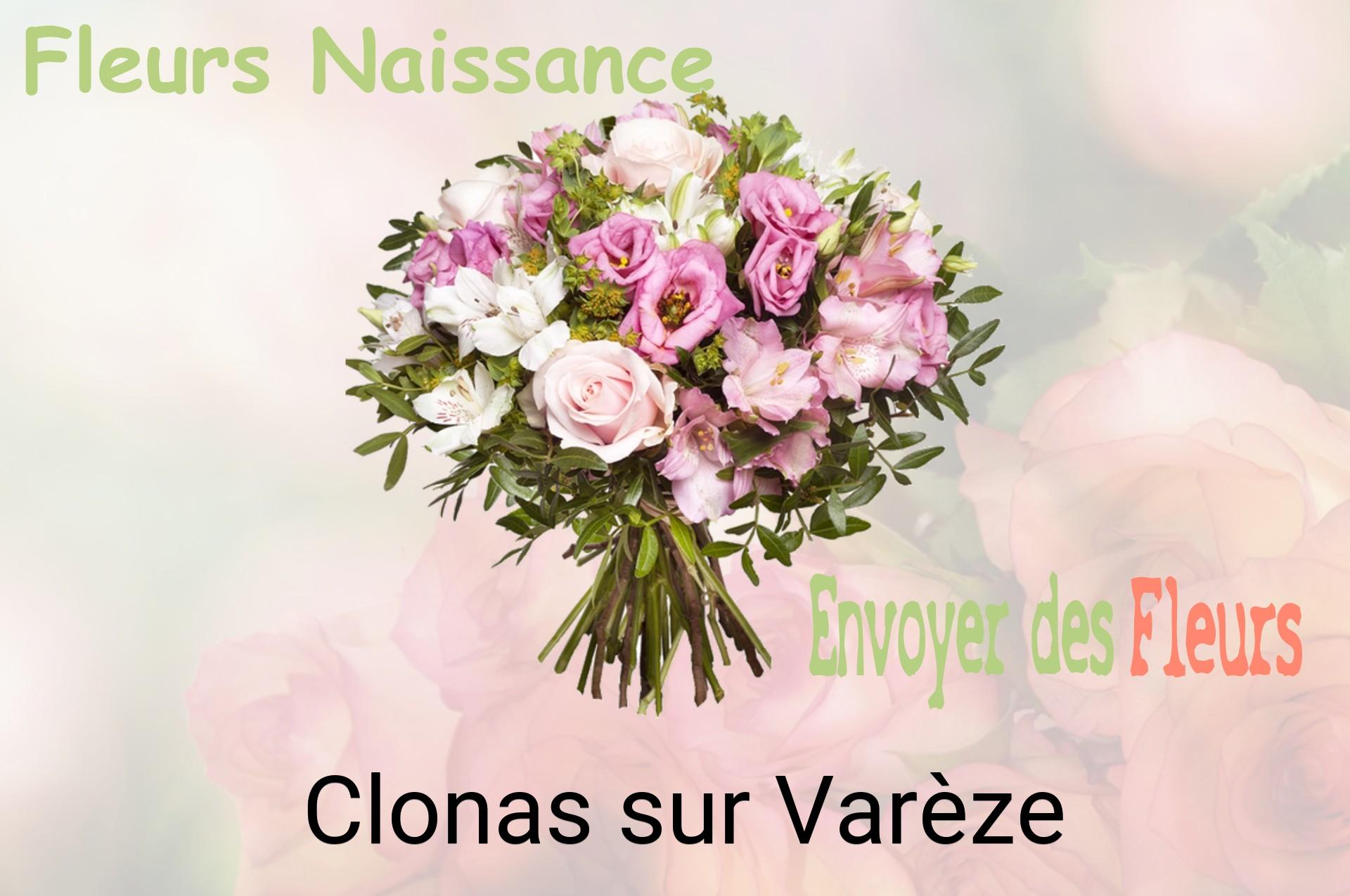 Bouquet de fleurs de naissance livré à Clonas-sur-Varèze