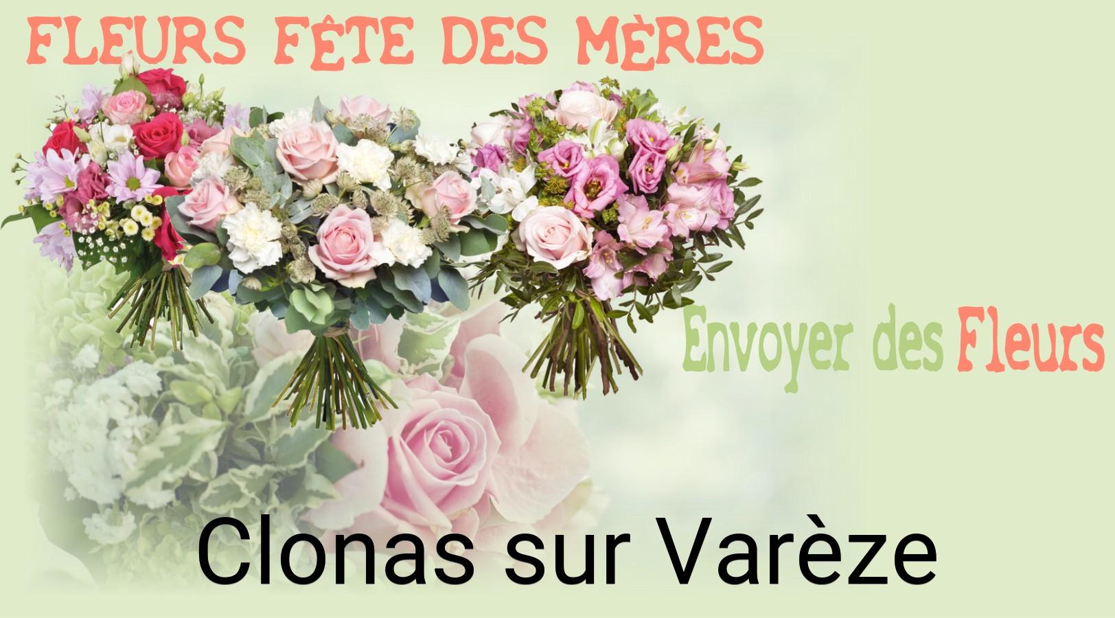 Bouquet de Fête des Mères livré à Clonas-sur-Varèze