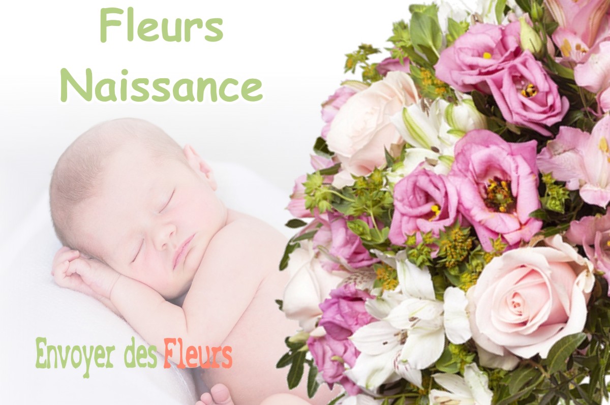 lIVRAISON FLEURS NAISSANCE à CLONAS-SUR-VAREZE